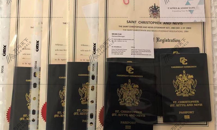 两组家庭零补件，4个月成功拿到圣基茨护照